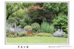 纺织业的可持续发展方案